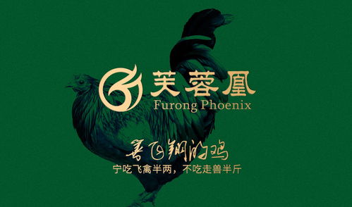 芙蓉凰雞攜手萬域廣告 打造深圳品牌設(shè)計的卓越典范