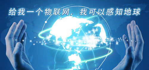 物聯(lián)網(wǎng)產(chǎn)業(yè)崛起背后的無(wú)形基石 網(wǎng)絡(luò)技術(shù)開(kāi)發(fā)的驅(qū)動(dòng)與創(chuàng)新